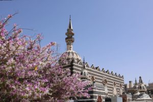 Un circuit halal en Jordanie. Mosquée Abou Darwish à Amman