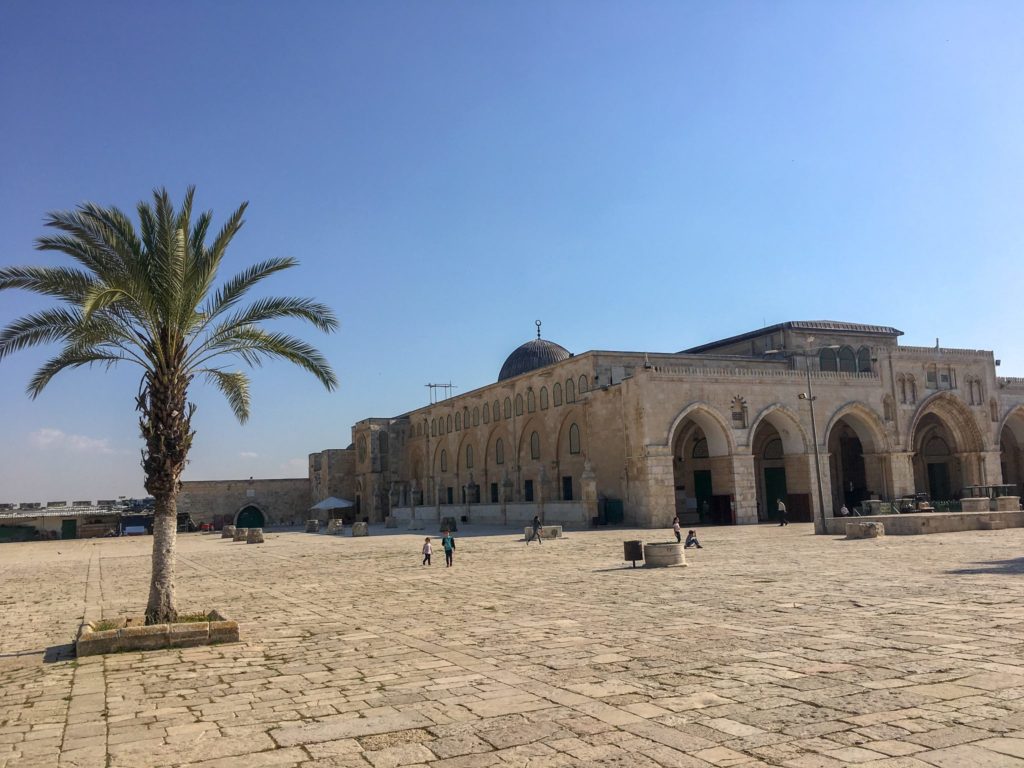 tout connaître sur la palestine